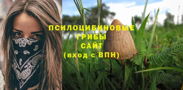 дживик Беломорск