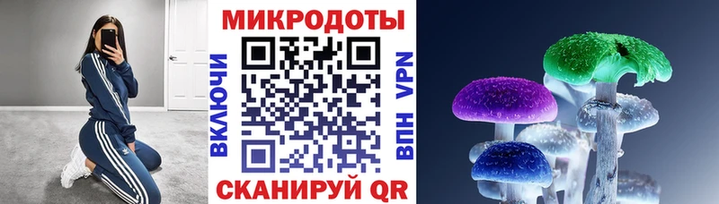 Псилоцибиновые грибы мухоморы Шали