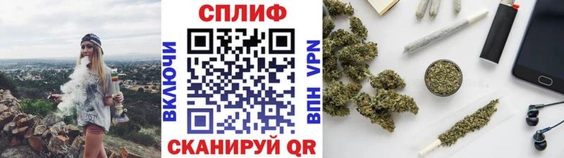 Конопля план Шали